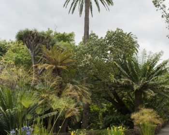 Botanical Gardens