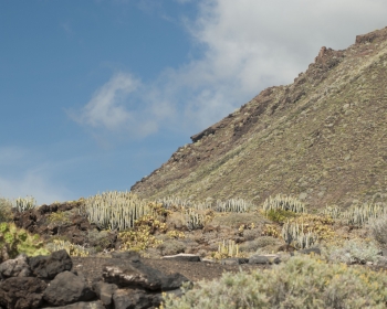 Carr. Punta de Teno