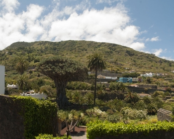 Parque Del Drago
