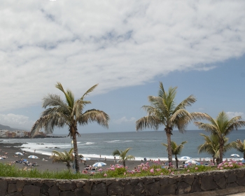 Playa Jardin