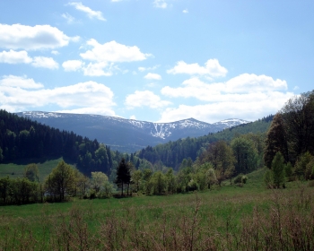Widok na Łabski szczyt z Sobieszowa
