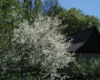chatka górska