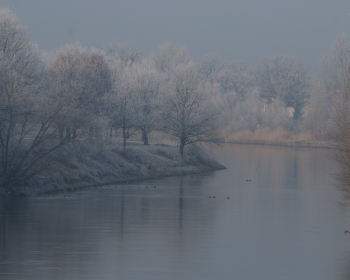 Odra