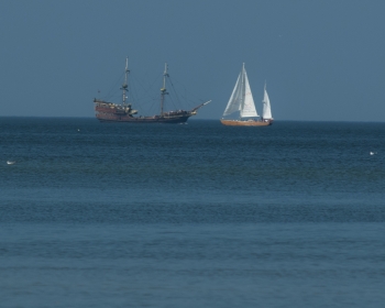 DSC_0095