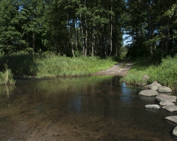 Suchowola