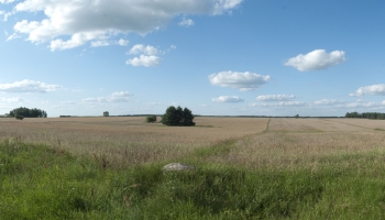 Untitled_Panorama1 (2)