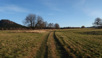 Untitled_Panorama2
